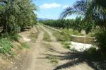 reusdigital.cat reus diari digital la selva del camp panoràmica camins saludables