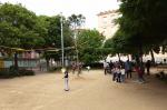 festa de l'arbre reus plaça de la patacada reusdigital 