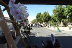 reusdigital.cat Reus Diari Digital festa de les flors parcel·les casas barri fortuny