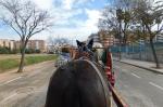 Tres tombs de Reus Sant Antoni Abat Diari Reus Digital