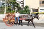 Tres tombs de Reus Sant Antoni Abat Diari Reus Digital