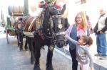 Tres tombs de Reus Sant Antoni Abat Diari Reus Digital