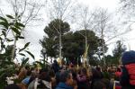 Diumenge de Rams Benedicció de la Palma Santuari de Misericòrdia Diari Reus Digital