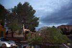 reusdigital.cat Reus Diari Digital tornado a Mont-roig del Camp