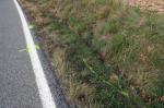 accident mortal motorista Mont-roig del Camp Diari Reus Digital