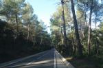 carretera t-734 priorat reusdigital