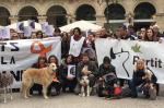 reusdigital.cat Reus Diari Digital maltracte animal manifestació