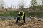 plantada popular francolí tarragona repsol reusdigital 