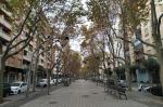 passeig de prim reus reusdigital novembre 2020