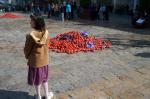 Guerra de tomàquets Reus 2009