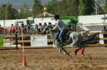 Fira de Sant Jaume Reus 2009