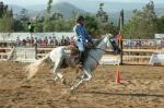 Fira de Sant Jaume Reus 2009