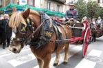 Tres tombs reus 2010