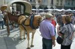 reusdigital.cat Mercat al mercadal