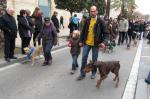 Tres tombs reus 2010