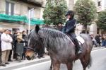 Tres tombs reus 2010