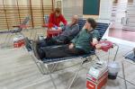 donacio sang salvador vilaseca 2018 encaix 