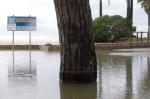 reusdigital.cat Reus Diari DIgital inundacions a la costa daurada pel temporal
