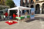 plaça prim voluntariat reusdigital