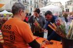 sant jordi 2019 reus reusdigital reus diari digital 